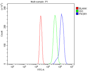 PI 3 Kinase p85 alpha/PIK3R1 Rabbit Polyclonal Antibody
