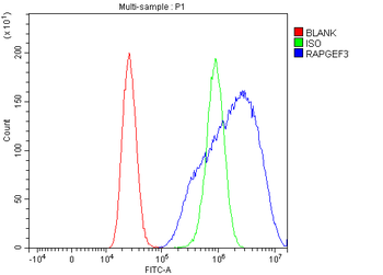 Epac1/RAPGEF3 Rabbit Polyclonal Antibody