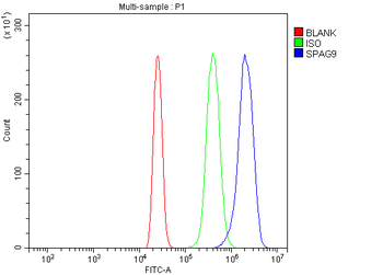 JLP/SPAG9 Rabbit Polyclonal Antibody