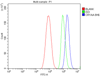 Alpha A Crystallin Mouse Monoclonal Antibody