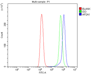 alpha Adaptin/AP2A1 Rabbit Polyclonal Antibody