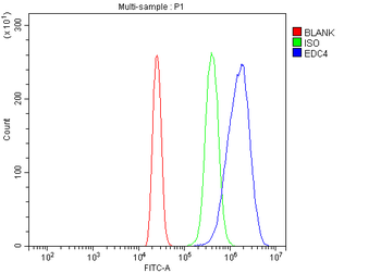 EDC4 Rabbit Polyclonal Antibody
