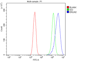 Erlin-2/ERLIN2 Rabbit Polyclonal Antibody