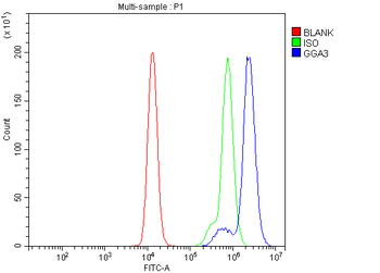 GGA3 Rabbit Polyclonal Antibody
