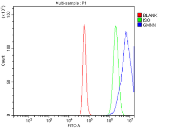 Geminin/GMNN Rabbit Polyclonal Antibody