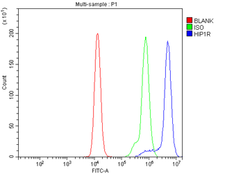 HIP1R Rabbit Polyclonal Antibody