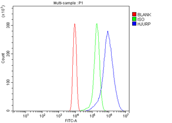 Hjurp Rabbit Polyclonal Antibody
