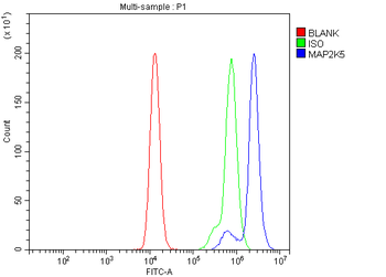 ASK1/MAP3K5 Rabbit Polyclonal Antibody