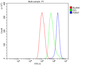 P2X7/P2RX7 Rabbit Polyclonal Antibody