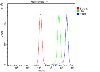 PAK1 Rabbit Polyclonal Antibody