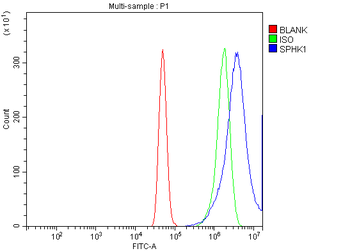 SPHK1 Rabbit Polyclonal Antibody