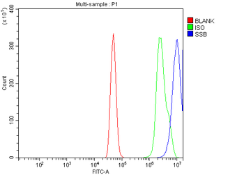 SSB Rabbit Polyclonal Antibody