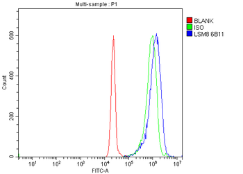 LSM8 Mouse Monoclonal Antibody