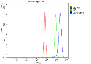 LSM8 Mouse Monoclonal Antibody