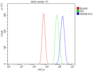 Annexin VI Mouse Monoclonal Antibody
