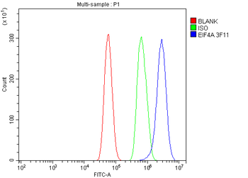 EIF4A1 Mouse Monoclonal Antibody
