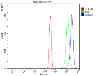 MRP1/ABCC1 Rabbit Polyclonal Antibody