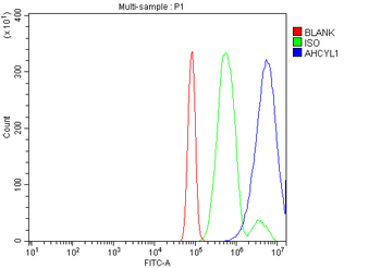 IRBIT/AHCYL1 Rabbit Polyclonal Antibody