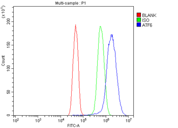 ATF6 Rabbit Polyclonal Antibody
