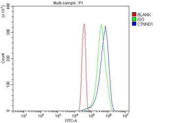 delta 1 Catenin/CAS/CTNND1 Rabbit Polyclonal Antibody