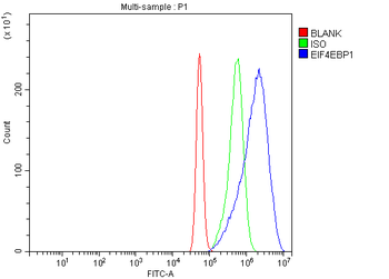 EIF4EBP1 Rabbit Polyclonal Antibody
