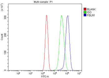 Fibulin 1/FBLN1 Rabbit Polyclonal Antibody