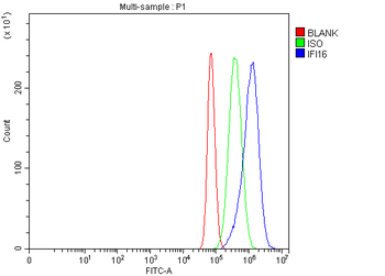 IFI16 Rabbit Polyclonal Antibody