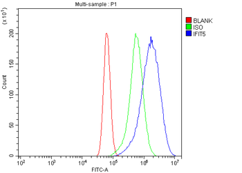 IFIT5 Rabbit Polyclonal Antibody