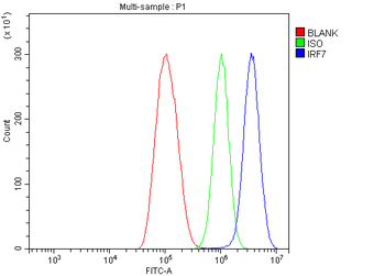 IRF7 Rabbit Polyclonal Antibody