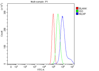 MLX-interacting protein/MLXIP/MLX Rabbit Polyclonal Antibody