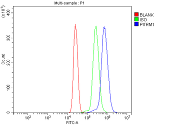 PITRM1 Rabbit Polyclonal Antibody