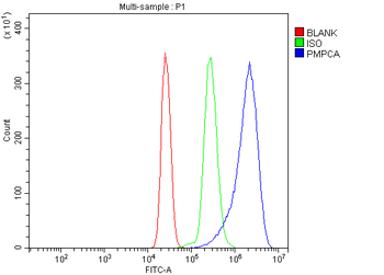 PMPCA/INPP5 Rabbit Polyclonal Antibody