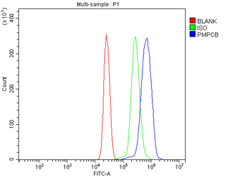MPPB/PMPCB Rabbit Polyclonal Antibody