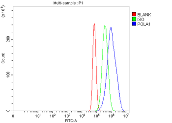 POLA1 Rabbit Polyclonal Antibody