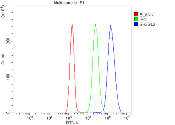 SH3GL2 Rabbit Polyclonal Antibody