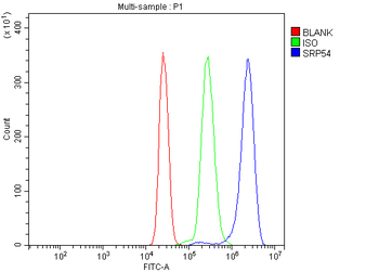 SRP54 Rabbit Polyclonal Antibody