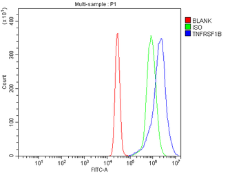 TNF Receptor II/TNFRSF1B Rabbit Polyclonal Antibody