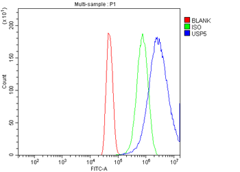 USP5 Rabbit Polyclonal Antibody