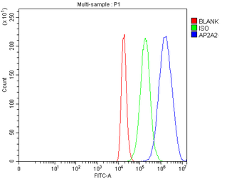 AP2A2 Rabbit Polyclonal Antibody