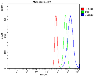 CYB5B Rabbit Polyclonal Antibody