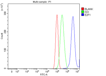 E2F1 Rabbit Polyclonal Antibody