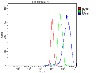 ECSIT Rabbit Polyclonal Antibody