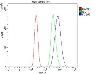 CD16/Fcgr3 Rabbit Polyclonal Antibody