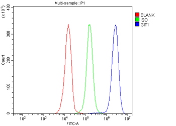 GIT1 Rabbit Polyclonal Antibody