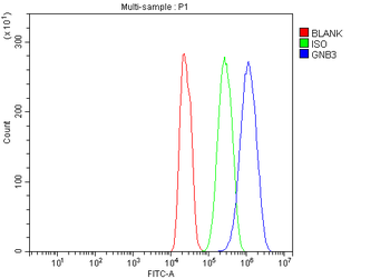 GNB3 Rabbit Polyclonal Antibody