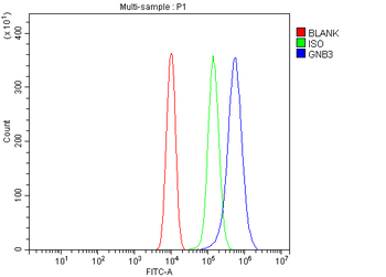 GNB3 Rabbit Polyclonal Antibody