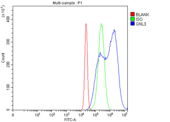 Nucleostemin/GNL3 Rabbit Polyclonal Antibody