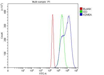 UTX/KDM6A Rabbit Polyclonal Antibody