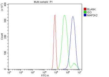 MEK2/MAP2K2 Rabbit Polyclonal Antibody