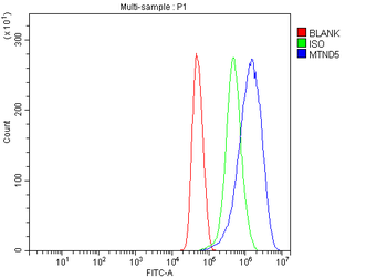 MT-ND5/MT Rabbit Polyclonal Antibody